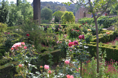 Gardens and Grounds of the Alhambra.